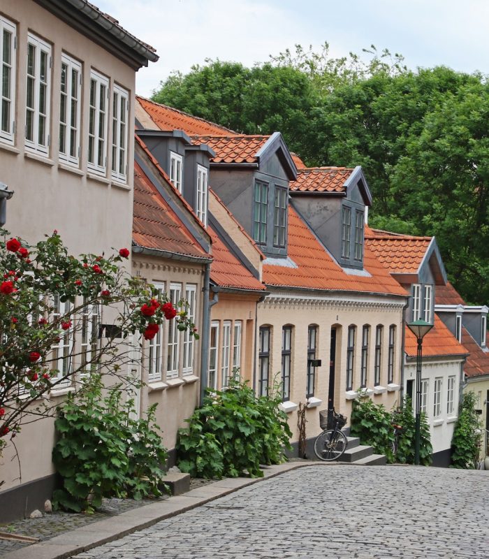 architecture-cobblestone-street-daylight-772177